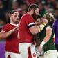 South Africa scrum-half Faf de Klerk (C) was outstanding in the World Cup semi-final