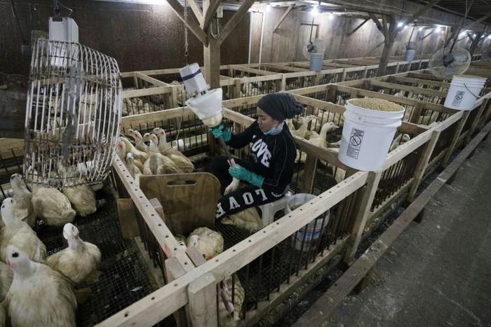 The Hudson Valley foie gras farm in Ferndale, New York