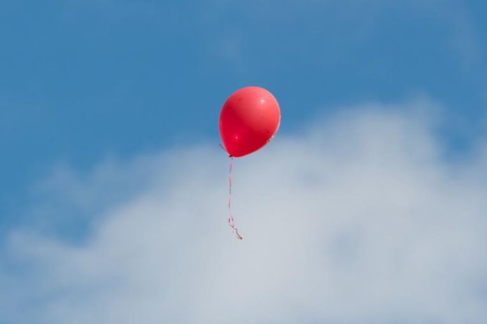 Dr. Pimple Popper Pops Balloon Cyst