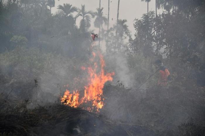 The fires -- usually started by illegal burning to clear land for farming -- have unleashed choking haze across Southeast Asia