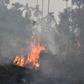 The fires -- usually started by illegal burning to clear land for farming -- have unleashed choking haze across Southeast Asia
