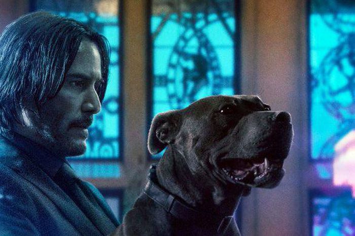 John Wick 3 Releases New Character Posters