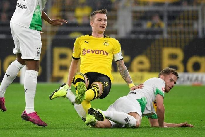 Captain Marco Reus will miss Wednesday's Champions League match in Group F at Inter Milan with illness and Paco Alcacer is out with injury, but England winger Jadon Sancho and goalkeeper Roman Burki are back in the squad.