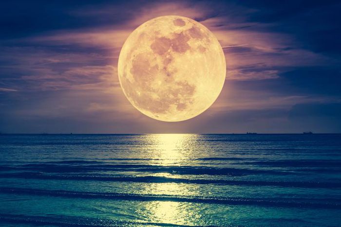 What The Super Worm Moon Means For Your Sign