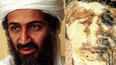 Woman finds a seashell that “looks exactly like Osama Bin Laden” (photo)