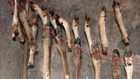 What Was Kept in This Stone Age Meat Locker? Bone Marrow