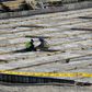 The particles are understood to be the product of uranium which has been mined and undergone initial processing, but not enriched; A picture taken on November 10, 2019, shows workers on the construction site of a second reactor in the Bushehr nuclear p...
