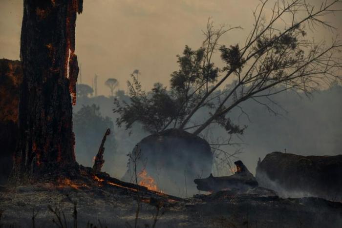Deforestation in the Amazon has been blamed for the sharp increase in fires as land is cleared and burned for cattle grazing or crops