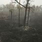 An aerial view of damage caused by wildfires in Otuquis National Park, in the Pantanal ecoregion of Bolivia, southeast of the Amazon basin, is seen on August 26, 2019