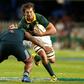 The Springboks have opened an internal probe into Eben Etzebeth over allegations of assaulting and racially abusing a homeless man just before the World Cup