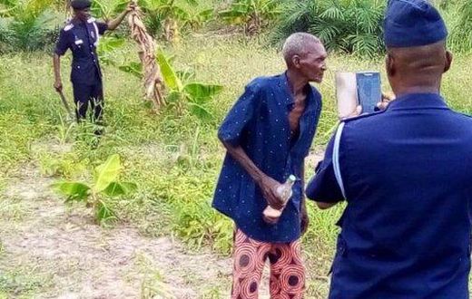Atebubu: 77-year-old man arrested for cultivating marijuana farm