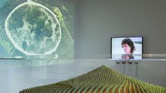 At 88, Agnes Denes Finally Gets the Retrospective She Deserves