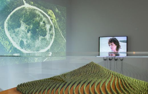 At 88, Agnes Denes Finally Gets the Retrospective She Deserves