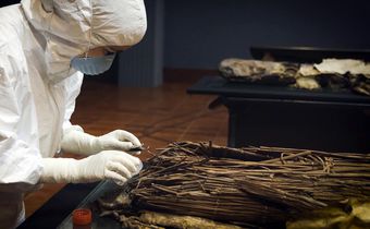 DNA Clues to an Ancient Canary Islands Voyage