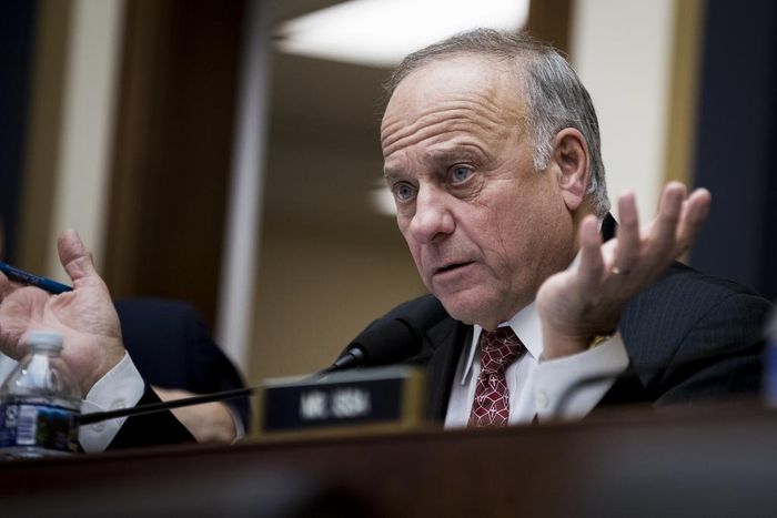 Given Chance to Disavow White Supremacy, Iowa Congressman Demurs