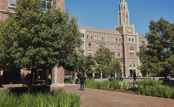 Elite Colleges Announce Record Low Admission Rates in Wake of College Cheating Scandal