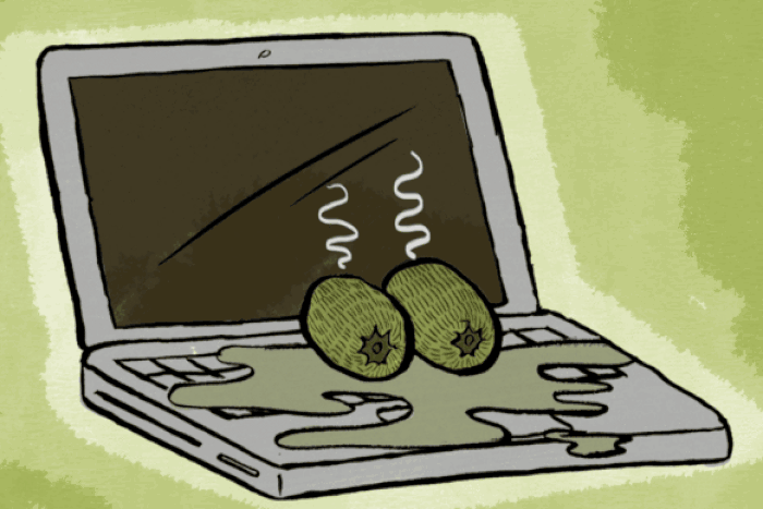 Laptop and male genitalia