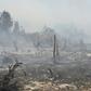 This year's fires have been worsened by dry weather