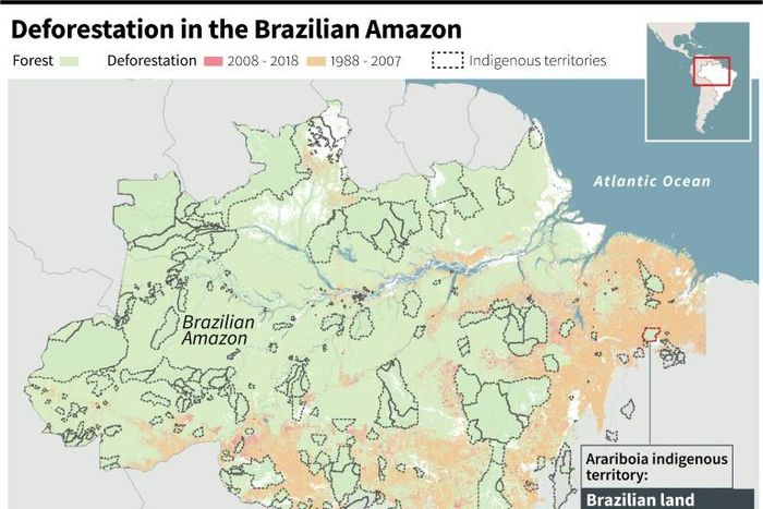 Map of deforestation and indigenous territories in Brazil, including the area where a land defender was killed in an ambush by loggers on November 1, 2019