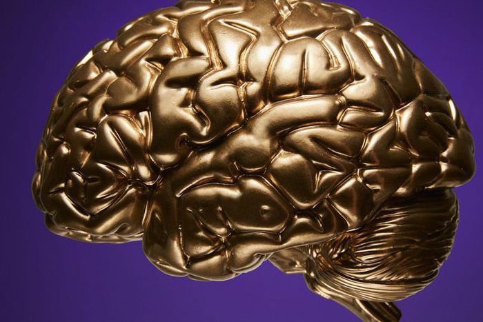 Dr. Pimple Popper Removes A 'Brain'-Sized Lipoma