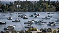 An Artist's Legacy Challenges an Island