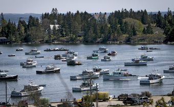 An Artist's Legacy Challenges an Island