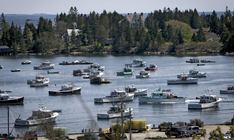 An Artist's Legacy Challenges an Island