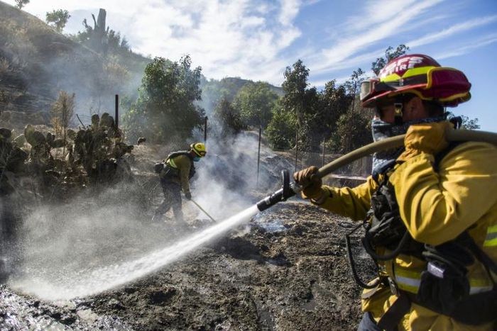 Firefighters battle to control the Maria Fire in Santa Paula, California on November 2, 2019