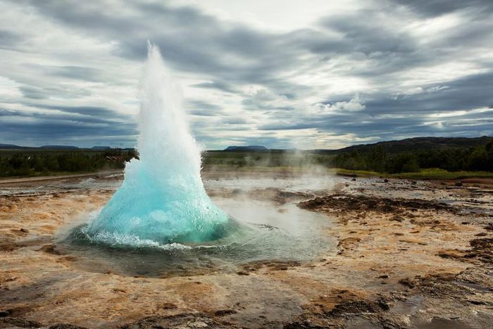 Dr. P's Latest Patient Is Almost Too Calm