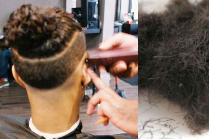 Barbers make stunning revelation about where your hair ends up after barbering (video)