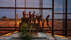 Top Immigration Judge Departs Amid Broader Discontent Over Trump Policies