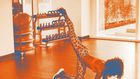 19 Booty-Sculpting Moves You Can Do Anywhere