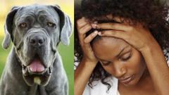 “I had 3 head-cracking orgasms during sex with a dog, now I get wet whenever I see dogs” - Student seeks advice