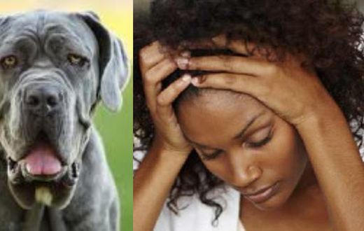 “I had 3 head-cracking orgasms during sex with a dog, now I get wet whenever I see dogs” - Student seeks advice