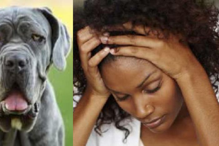 “I had 3 head-cracking orgasms during sex with a dog, now I get wet whenever I see dogs” - Student seeks advice