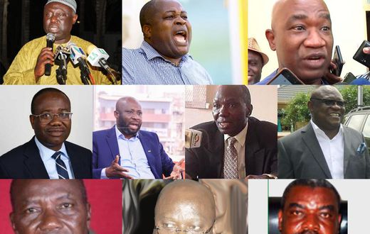 GFA Vice Presidents