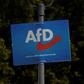 The AfD has long co-opted the former pro-democracy chant "We are the people" and turned it against what it labels the "Merkel regime"