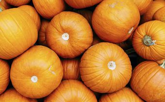 9 Dietitian-Backed Health Benefits Of Pumpkin