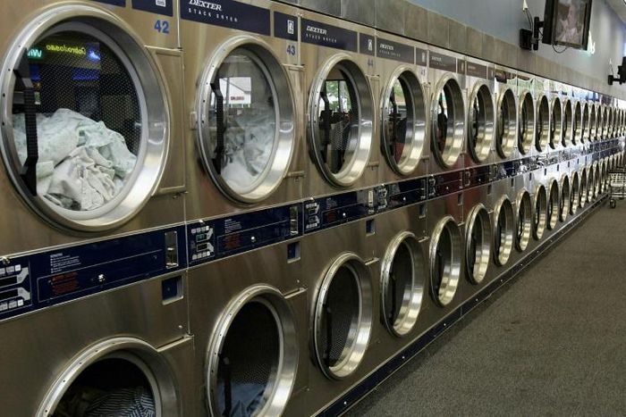 A Malaysian man was sentenced to 34 months in jail for killing a pregnant cat by stuffing it into a laundrette dryer