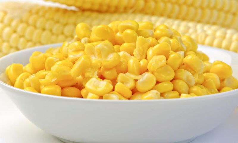 Dr. Pimple Popper Slices Off Corn Kernel Cyst