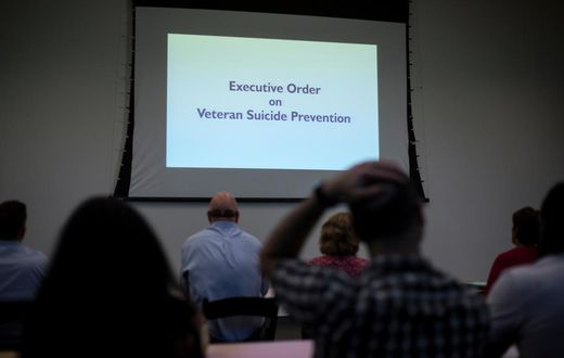 Program to Prevent Veterans Suicide Earns Bipartisan Support