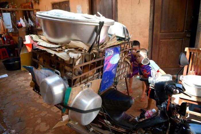 A cheap source of protein, dog meat is still consumed in several Asian countries from China and South Korea to Vietnam and non-Muslim communities in Indonesia