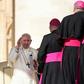 The synod brought some 184 bishops to the Vatican, over 60 percent of whom hail from the nine Amazon countries