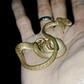 A tiny two-headed snake was found in a village in the Indonesian island of Bali