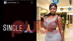 Princess Shyngle's now deleted post