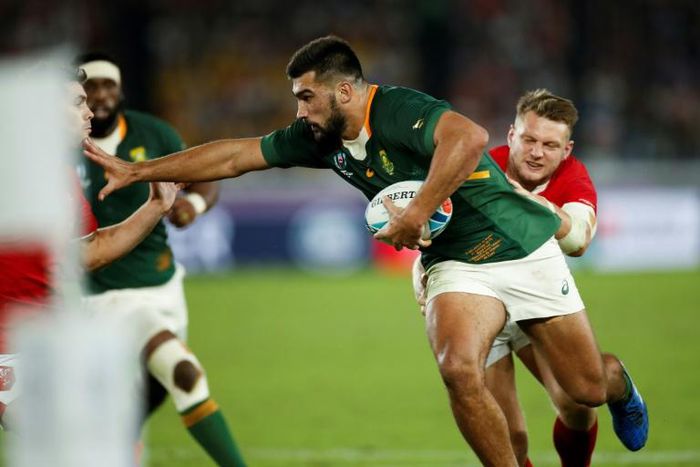 Damian De Allende scored South Africa's only try against Wales