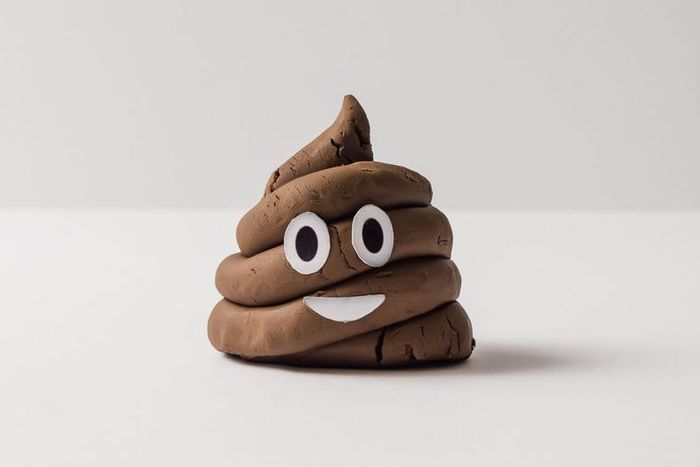 Why It Feels So Good to Poop