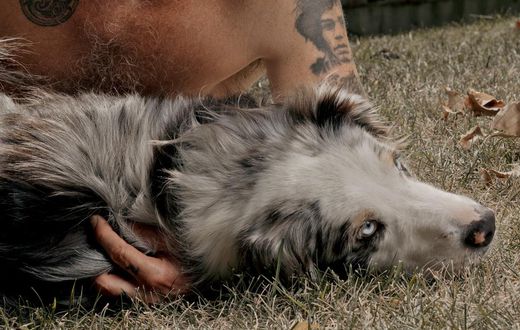 Flea Had a Wild Life. Then He Joined Red Hot Chili Peppers.