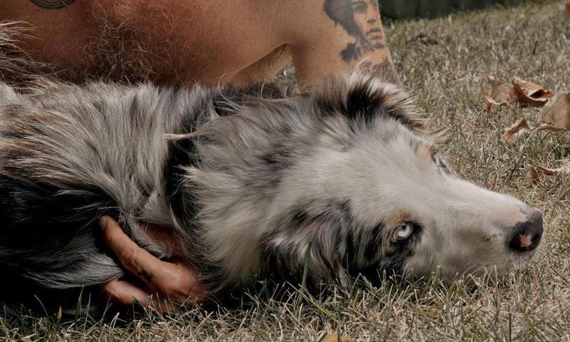 Flea Had a Wild Life. Then He Joined Red Hot Chili Peppers.