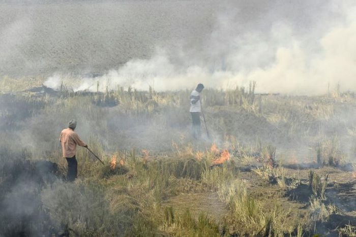 Each winter the post-harvest burning of crop stubble covers swaths of the region in toxic smog